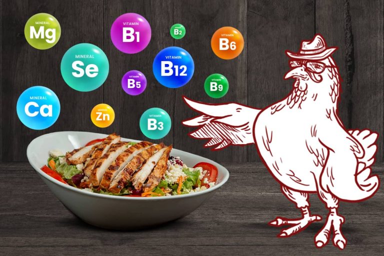 1200×800 blogcikk csirrkemell V2-2